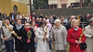 20260329_113144-Copy