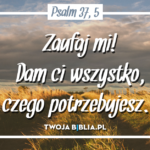 XVII NIEDZIELA ZWYKŁA, 27.07.2025r.