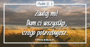 Bez kategorii