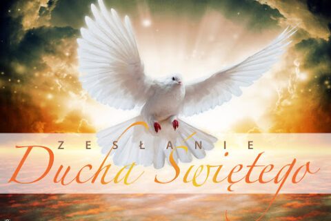 NIEDZIELA ZESŁANIA DUCHA  ŚWIĘTEGO, 24.05.2026r.